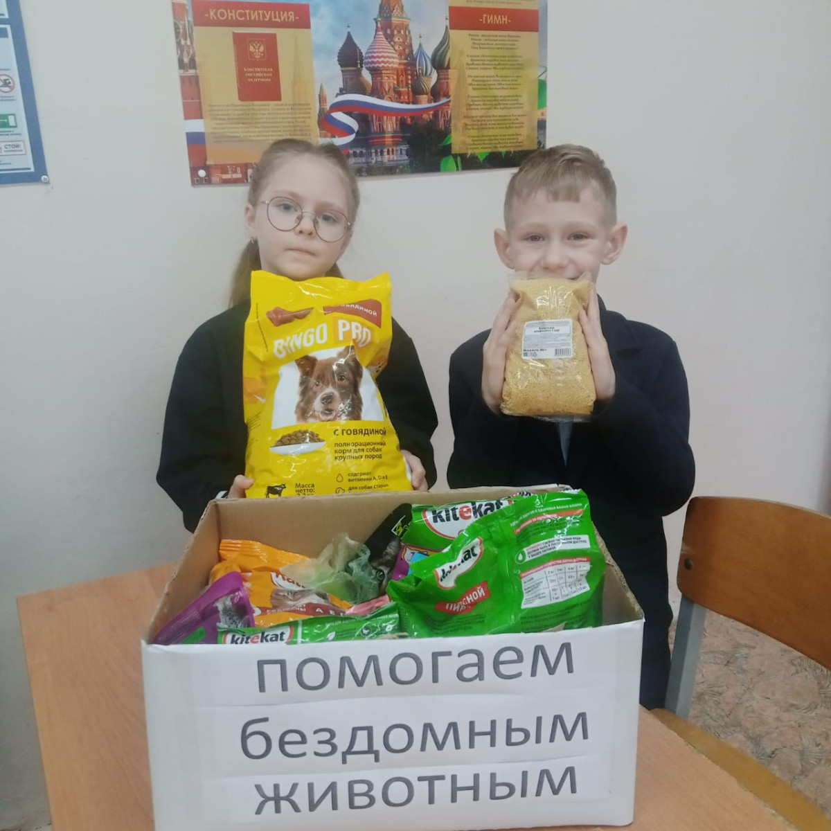 Постер к социальной практике: Помощь бездомным животным