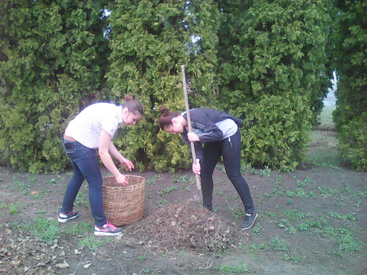 Постер к социальной практике: Пятый день