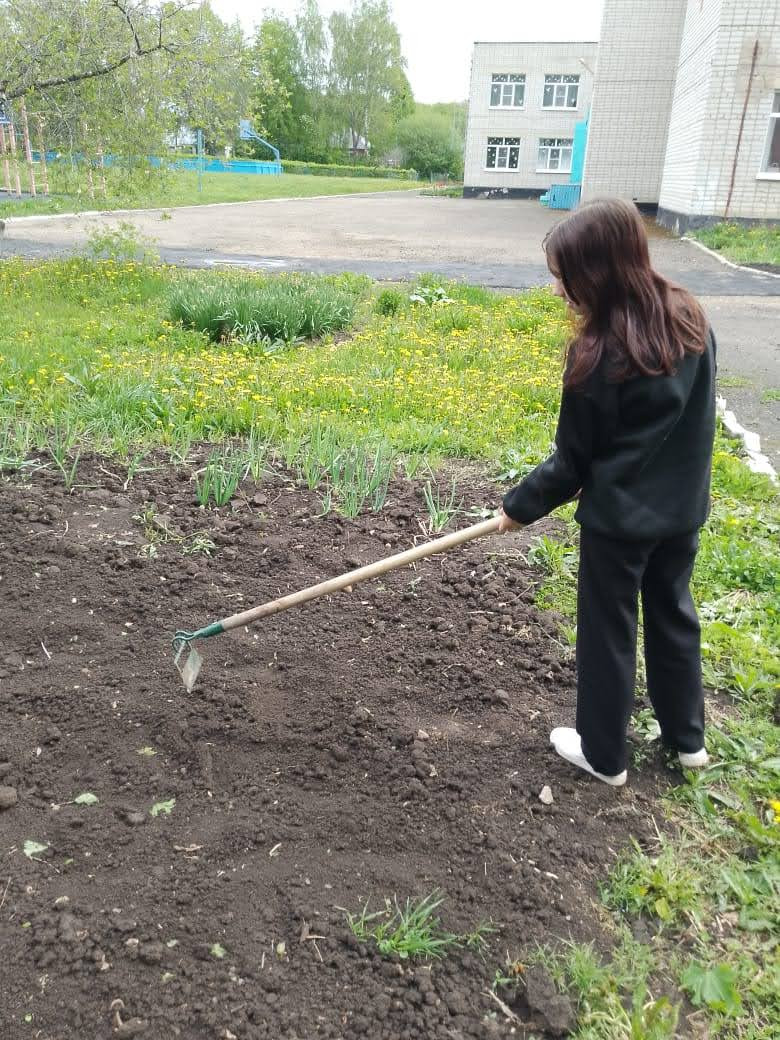 Постер к социальной практике: Трудимся на благо школы