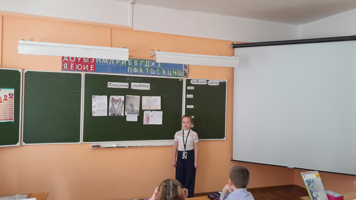 Постер к социальной практике: Усатый , полосатый