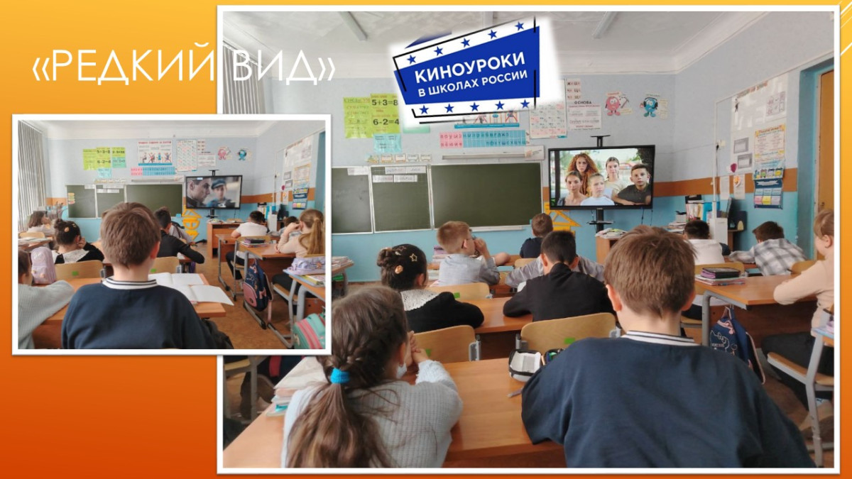 Постер к социальной практике: Усердие всё превозмогает