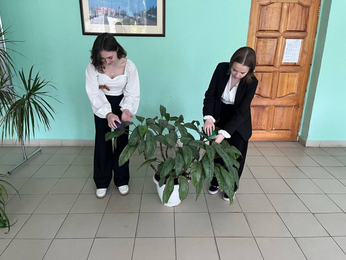 Постер к социальной практике: Пять дней