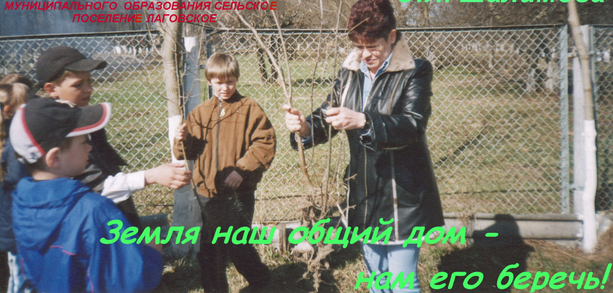 Постер к социальной практике: Наведем чистоту