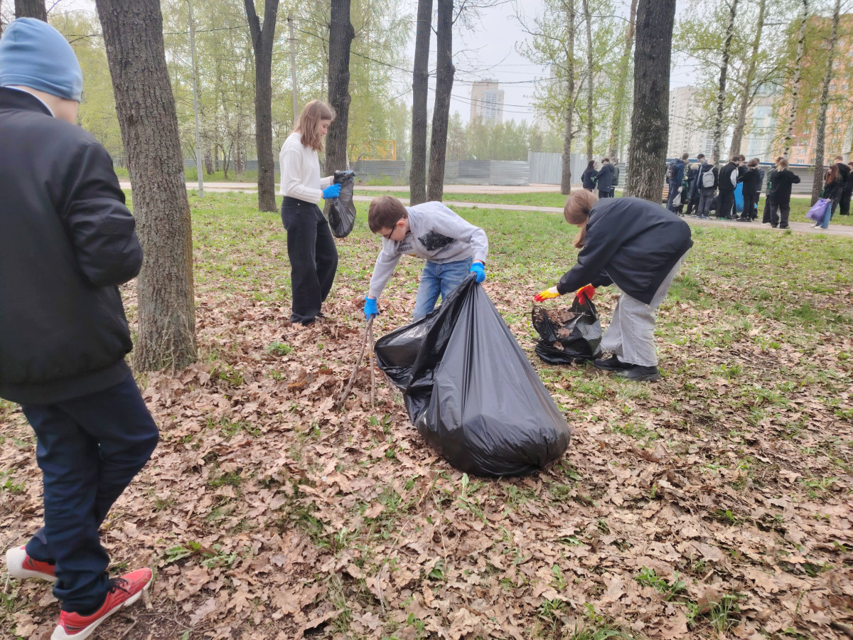 Постер к социальной практике: Помогаем сделать чище Дубовую рощу