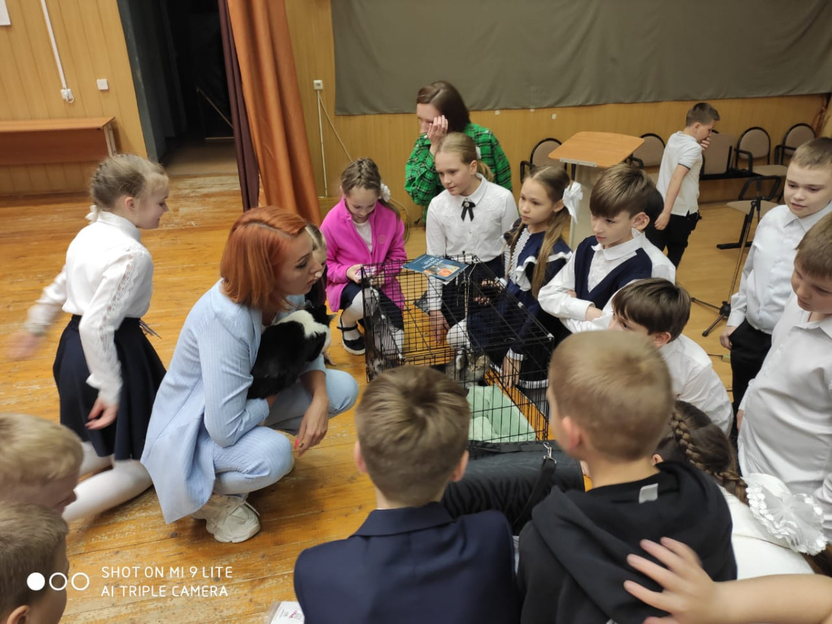 Фотография социальной практики №69433 - Помощь приюту для домашних животных