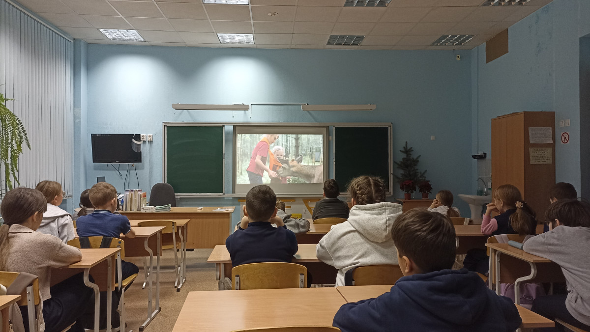 Постер к социальной практике: Поможем птицам зимой