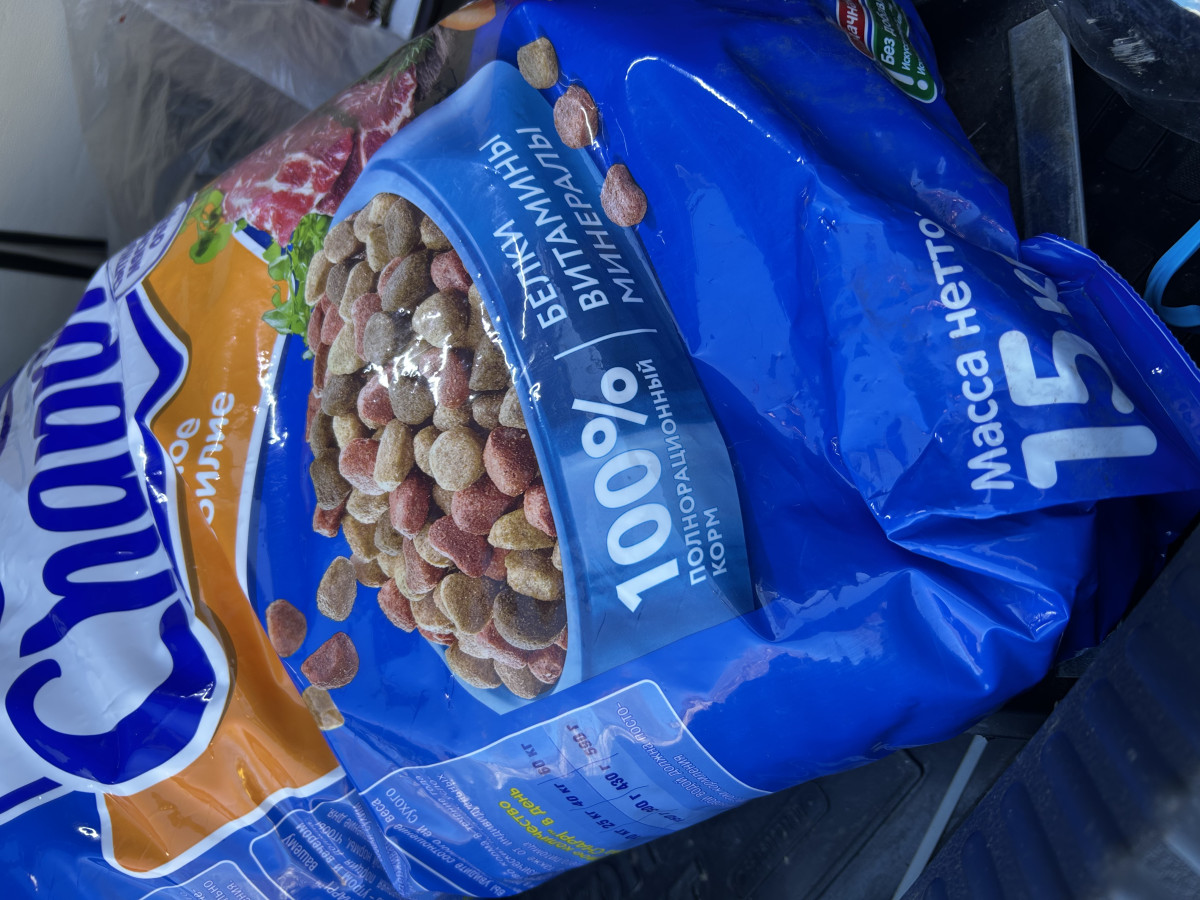 Постер к социальной практике: Помочь животным - это подвиг.