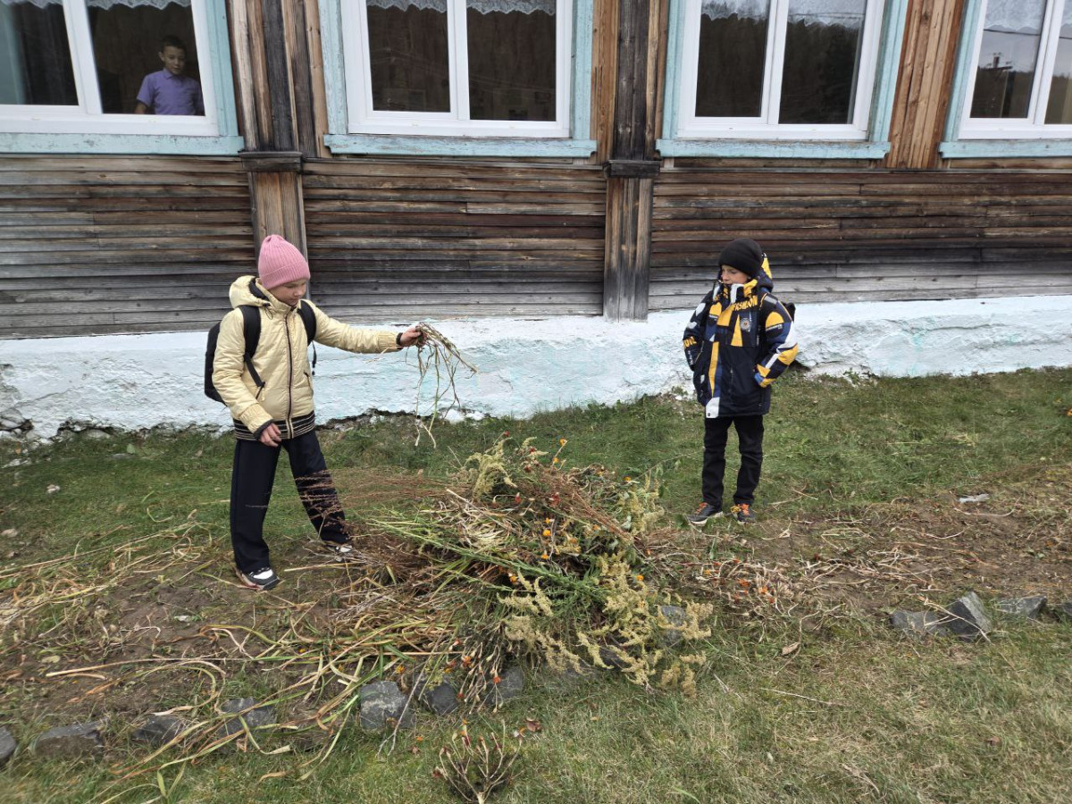 Постер к социальной практике: Пусть добра будет больше!