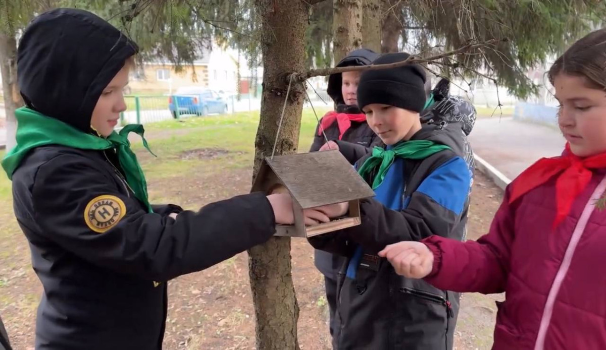 Постер к социальной практике: покормите птиц зимой