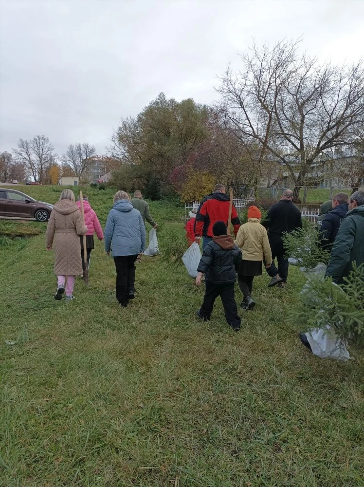 Фотография социальной практики №93014 - Ёлочки как фитотерапия