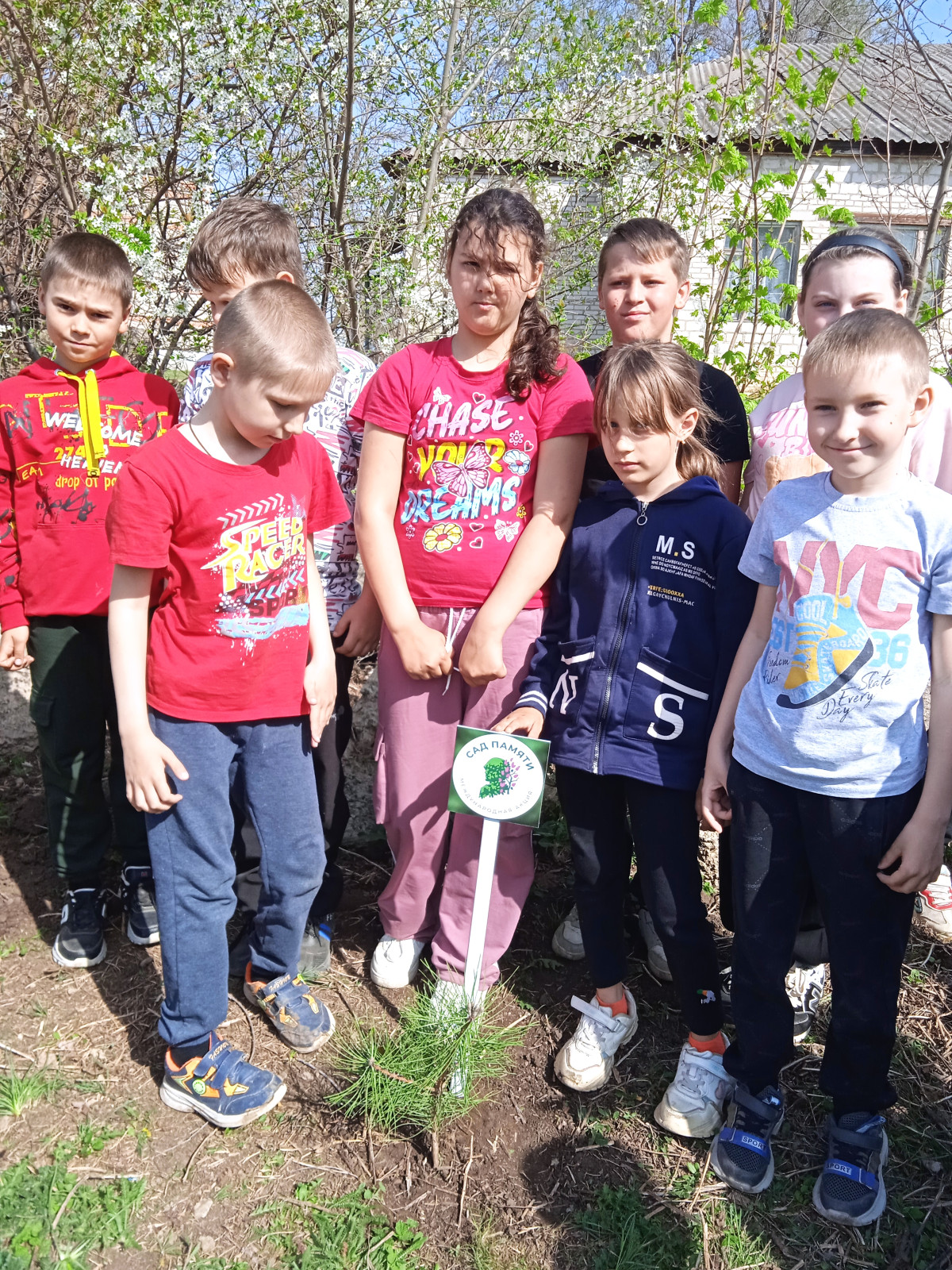 Постер к социальной практике: Все зависит от нас самих