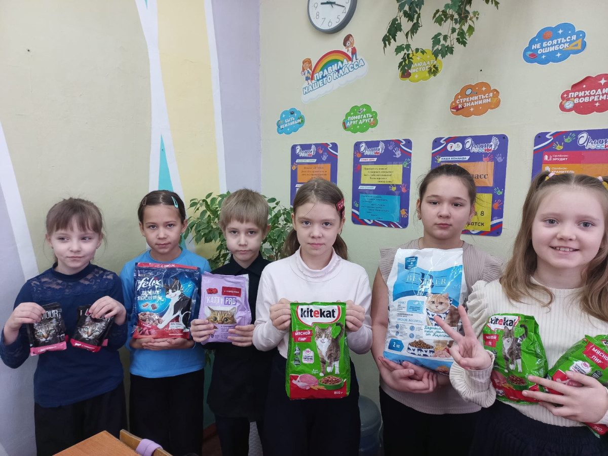 Постер к социальной практике: общественно-полезное дело