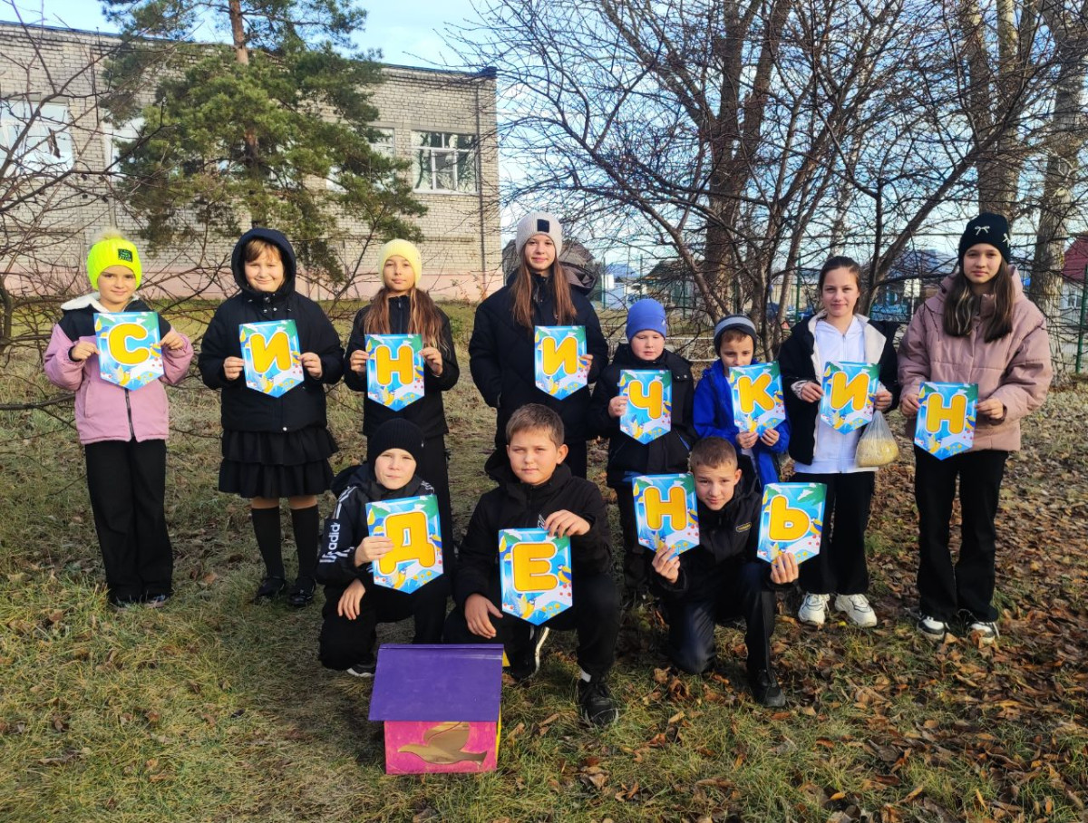 Постер к социальной практике: Синичкин день