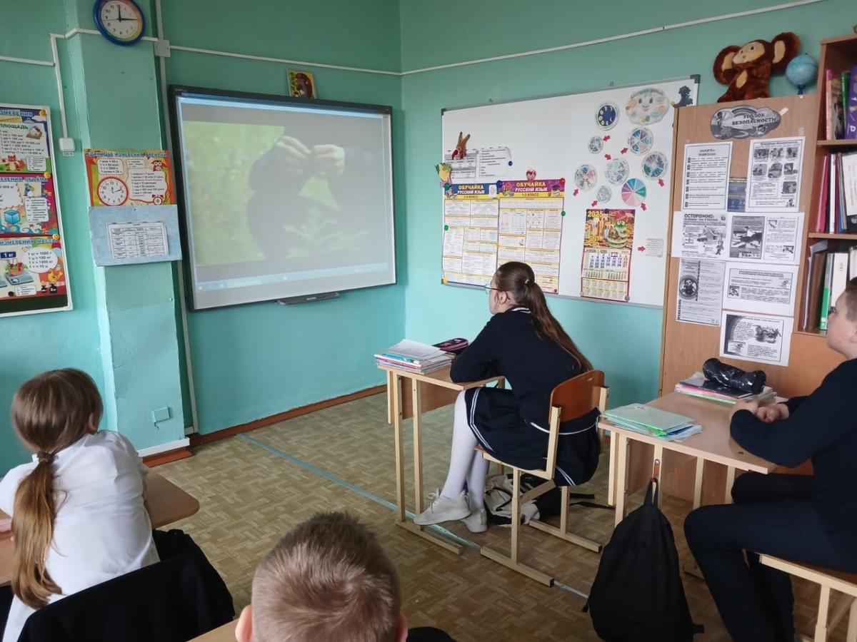 Постер к социальной практике: Мы за чистый город