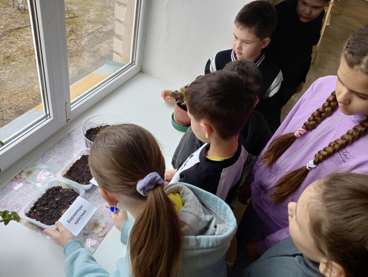 Постер к социальной практике: Аккуратность