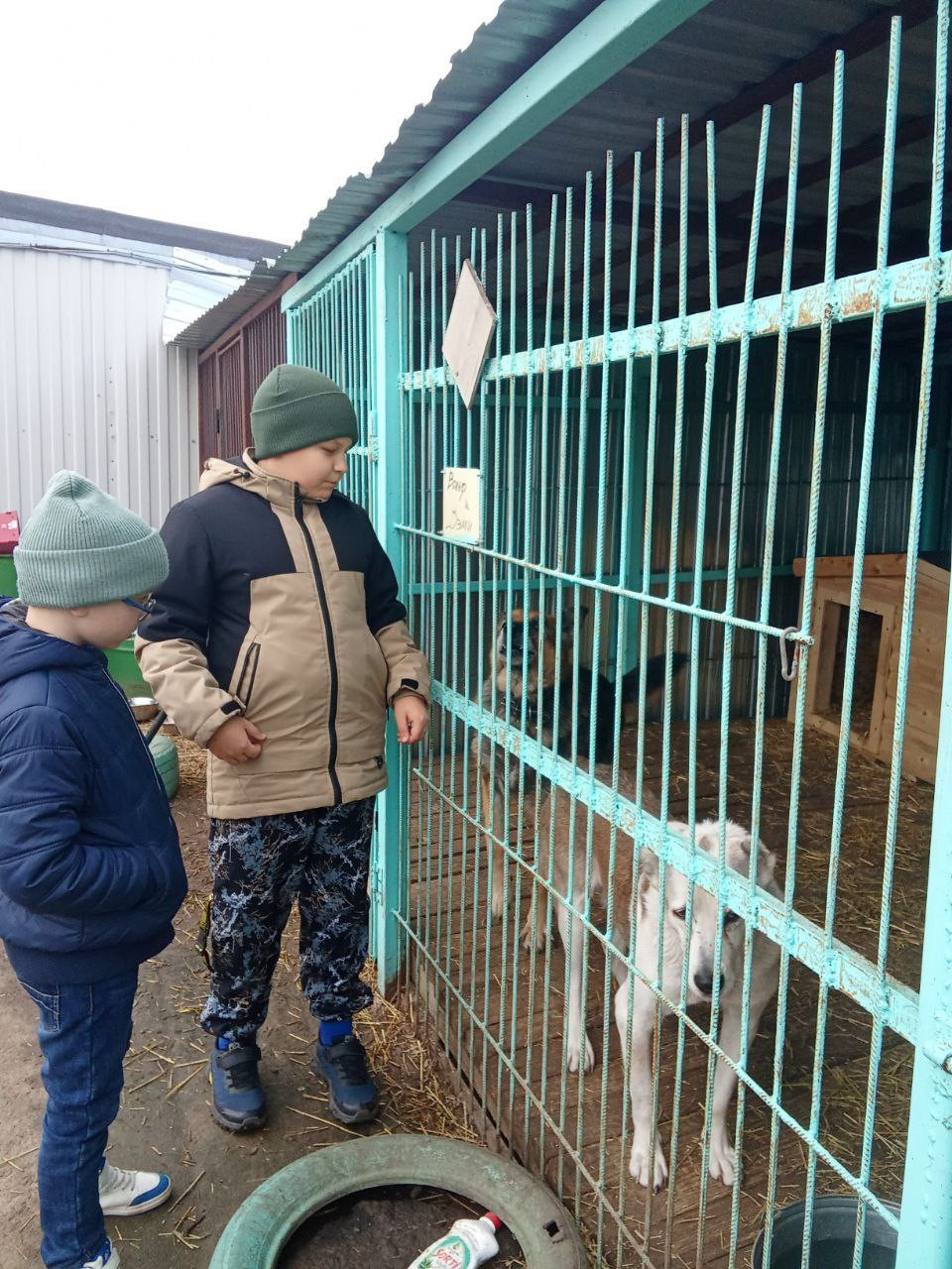 Постер к социальной практике: От одного жеста мир становится теплее