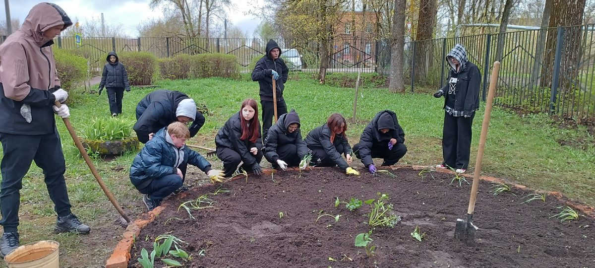 Постер к социальной практике: Социальная практика в рамках проекта "Киноуроки".Цветкова Юлия Сергеевна