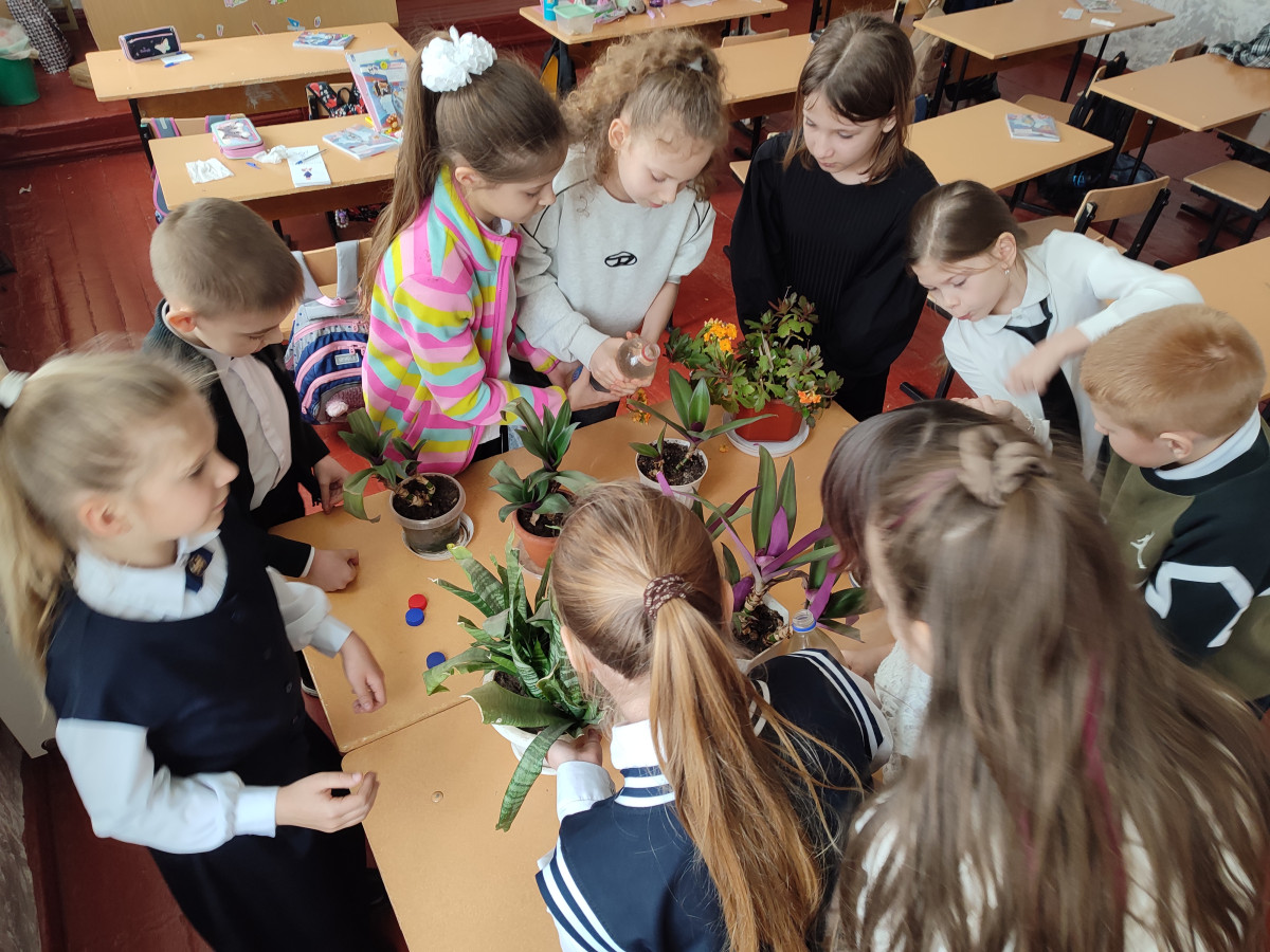 Постер к социальной практике: За охрану природы