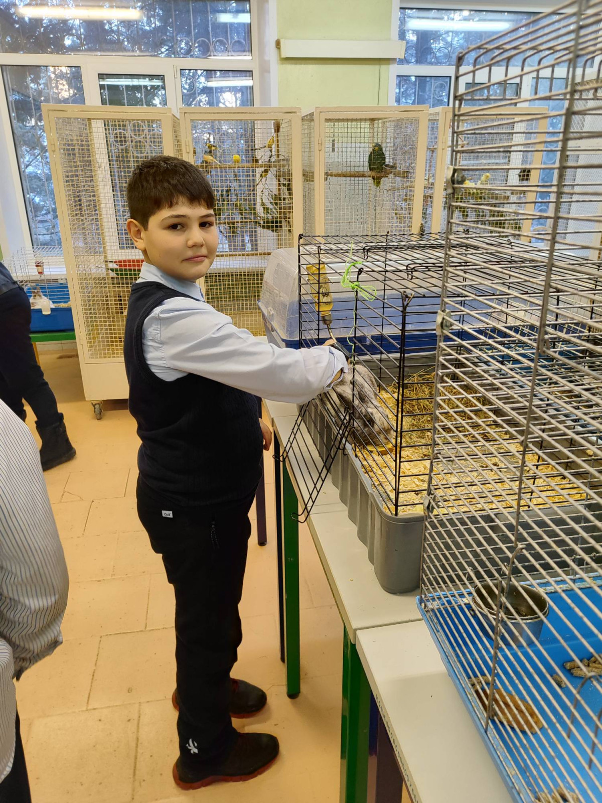 Постер к социальной практике: "Живой уголок"