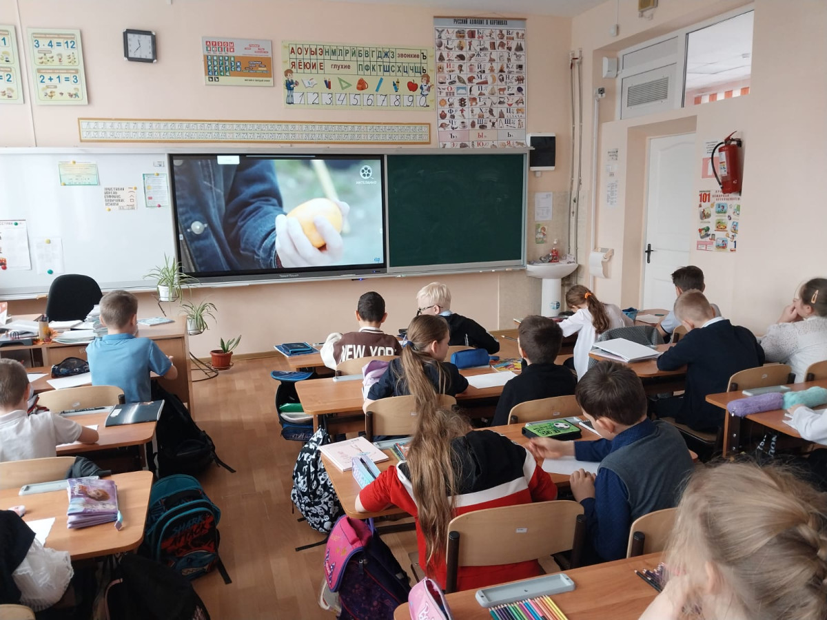 Постер к социальной практике: Радость за другого.