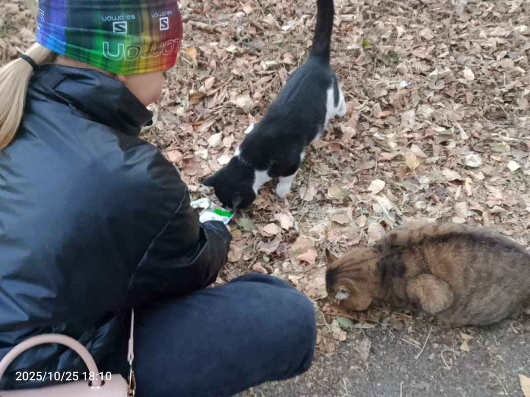 Постер к социальной практике: САМОСТОЯТЕЛЬНЫЕ ЕДИНИЦЫ 4 А КЛАССА