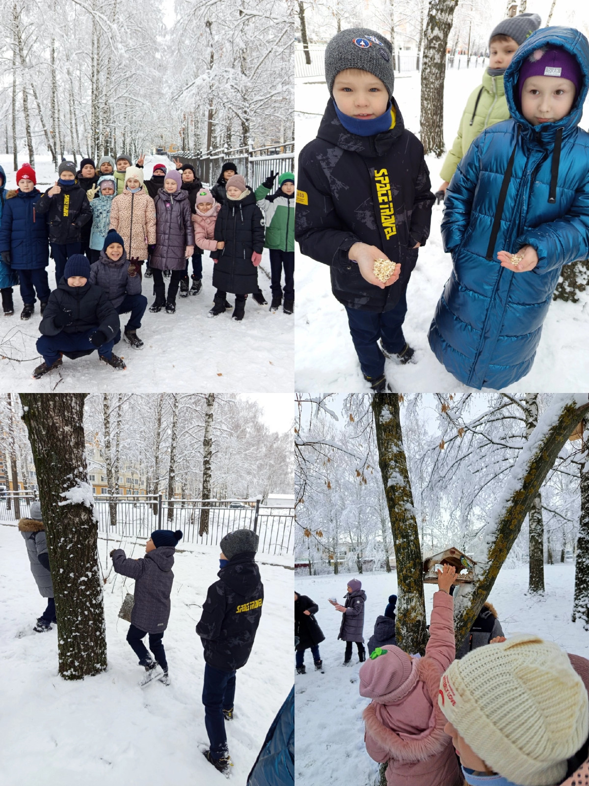 Постер к социальной практике: Умение жить в гармонии с природой