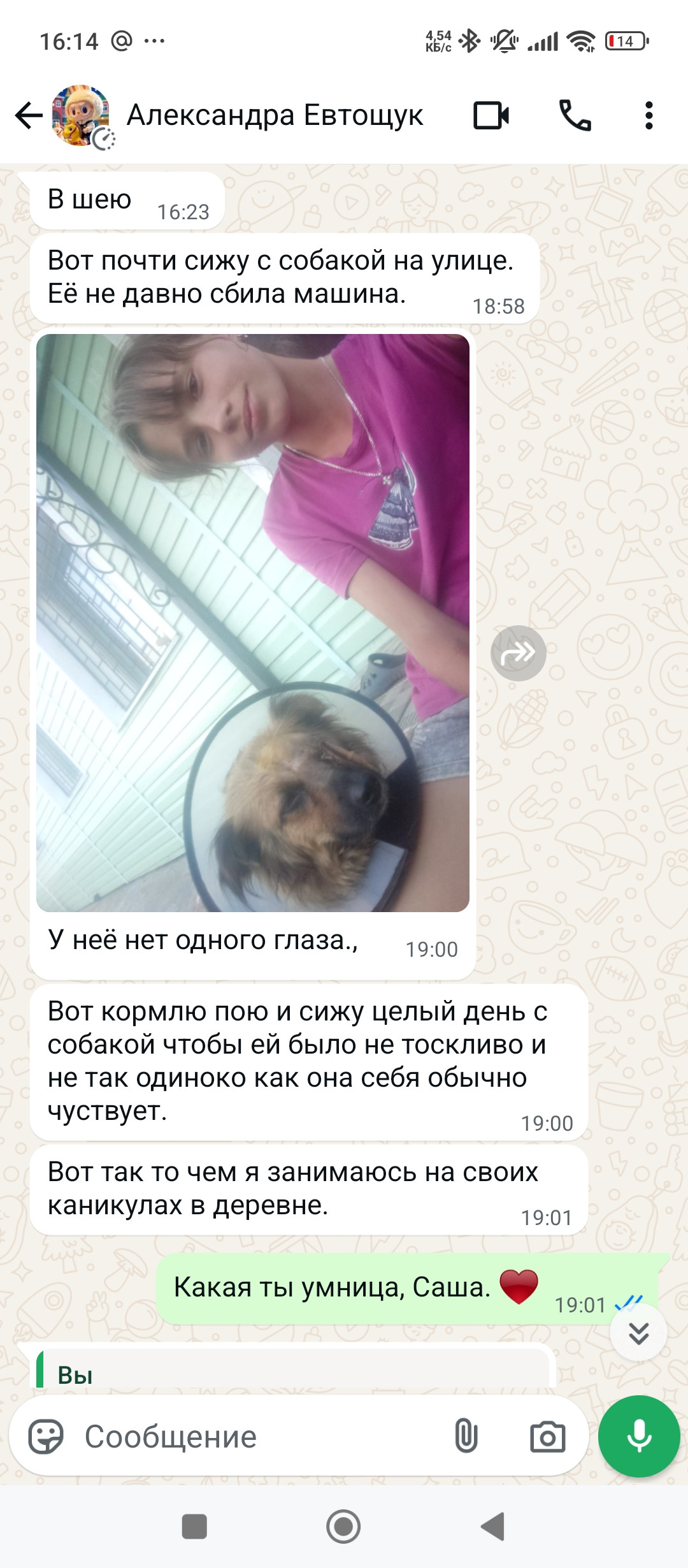 Постер к социальной практике: Сострадание