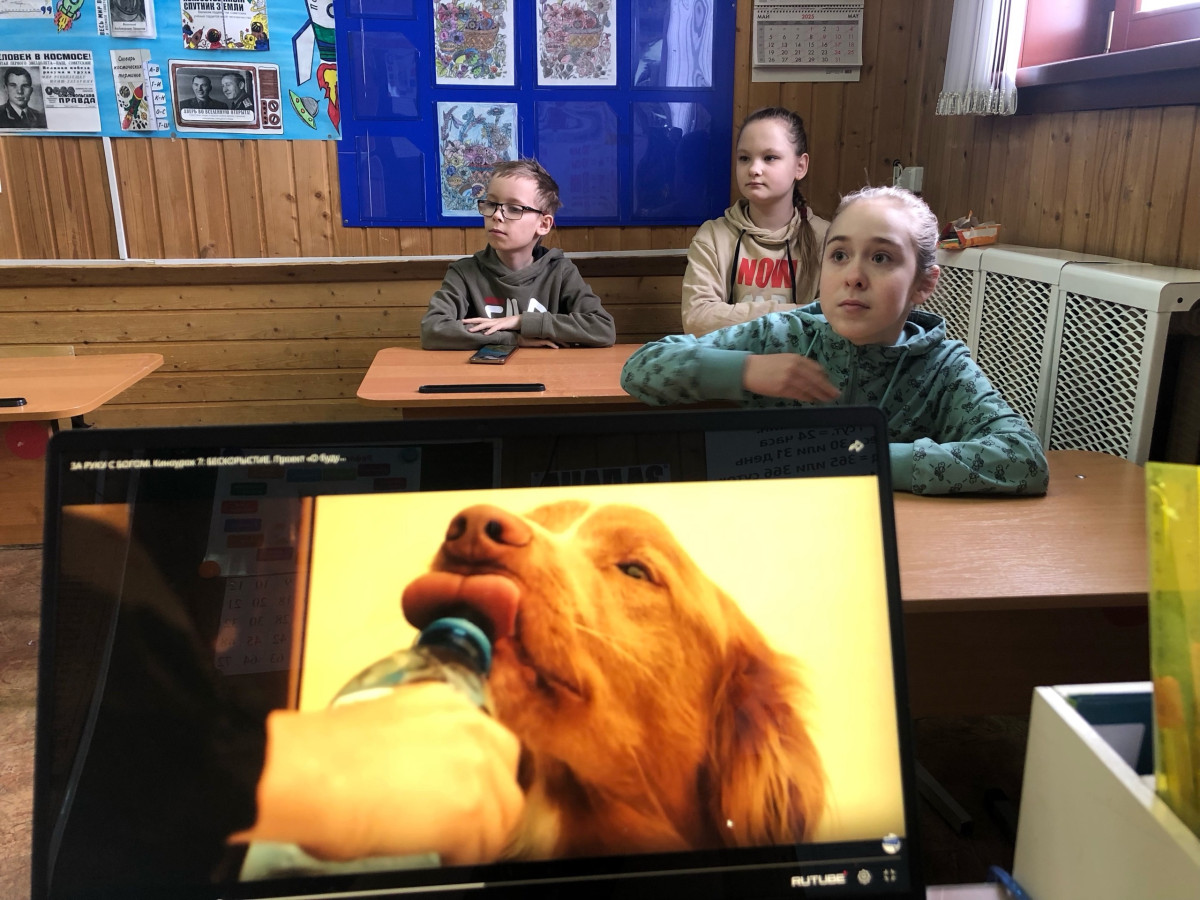 Постер к социальной практике: Мы в ответе за тех, кого приручили