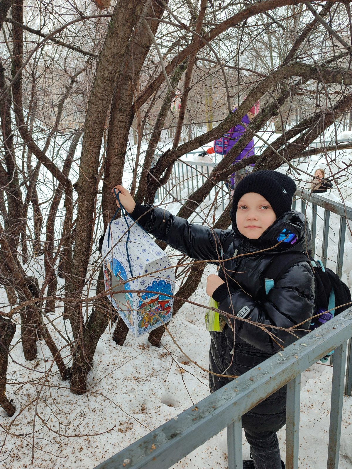Постер к социальной практике: Помоги птицам зимой