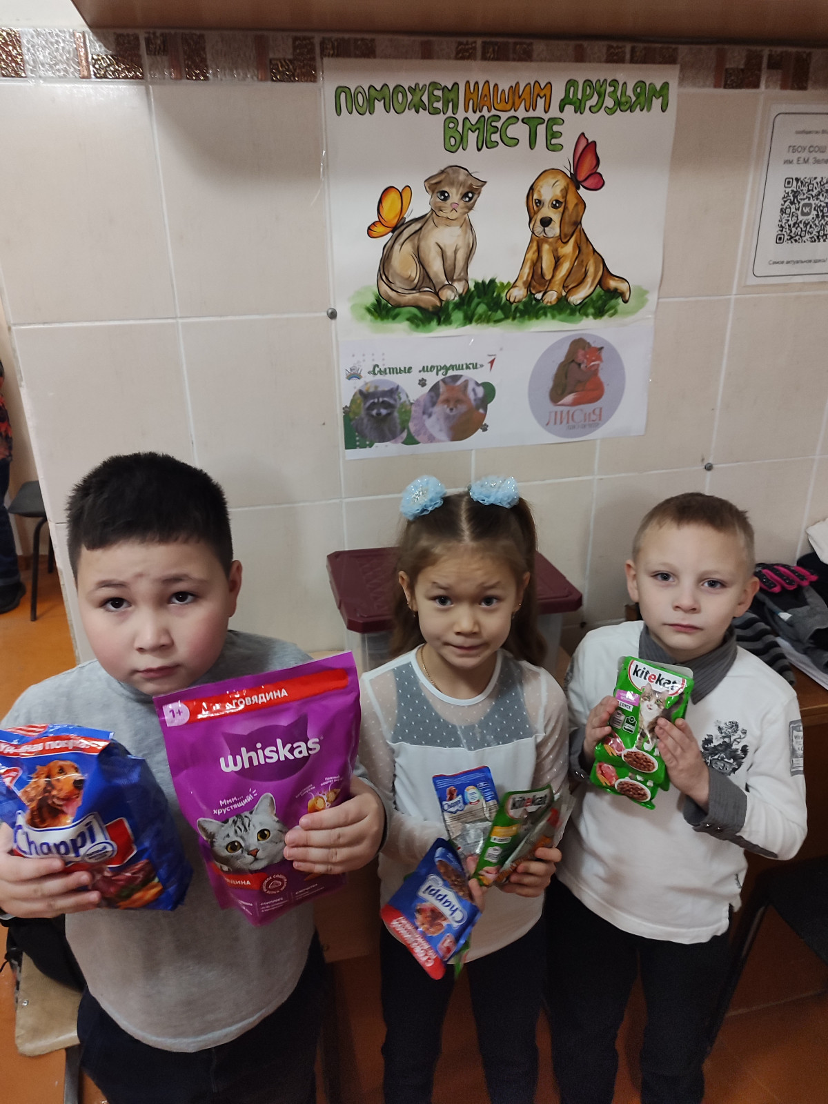 Постер к социальной практике: Братья наши меньшие