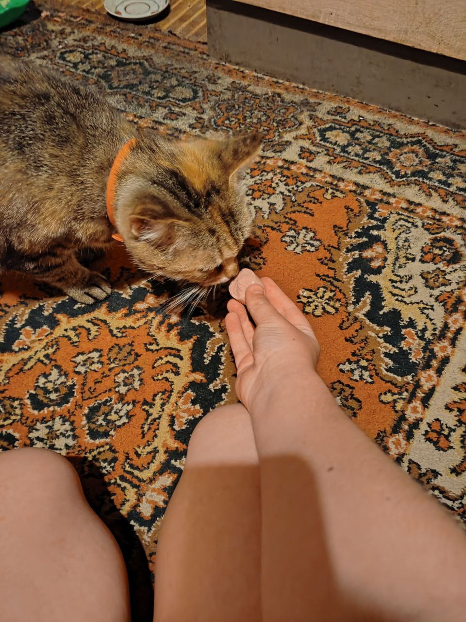 Постер к социальной практике: Экологичность