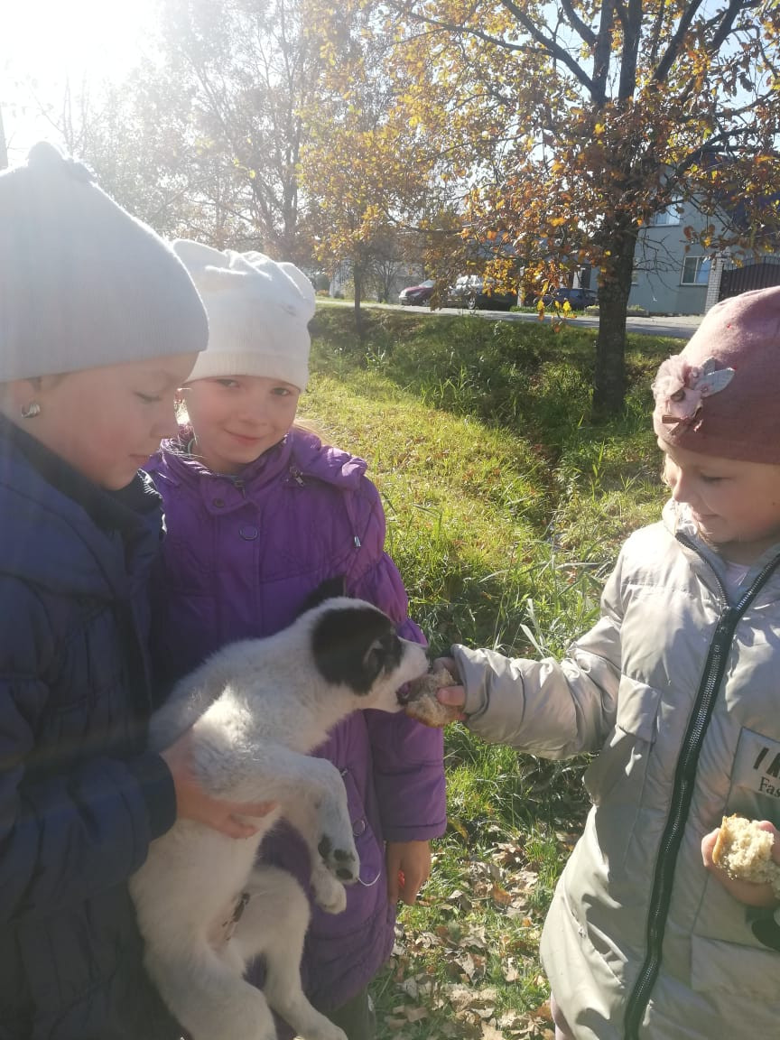 Постер к социальной практике: Друг в беде не бросит