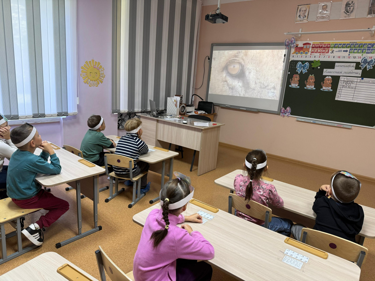 Постер к социальной практике: Социальная практика к киноуроку "Стеша"
