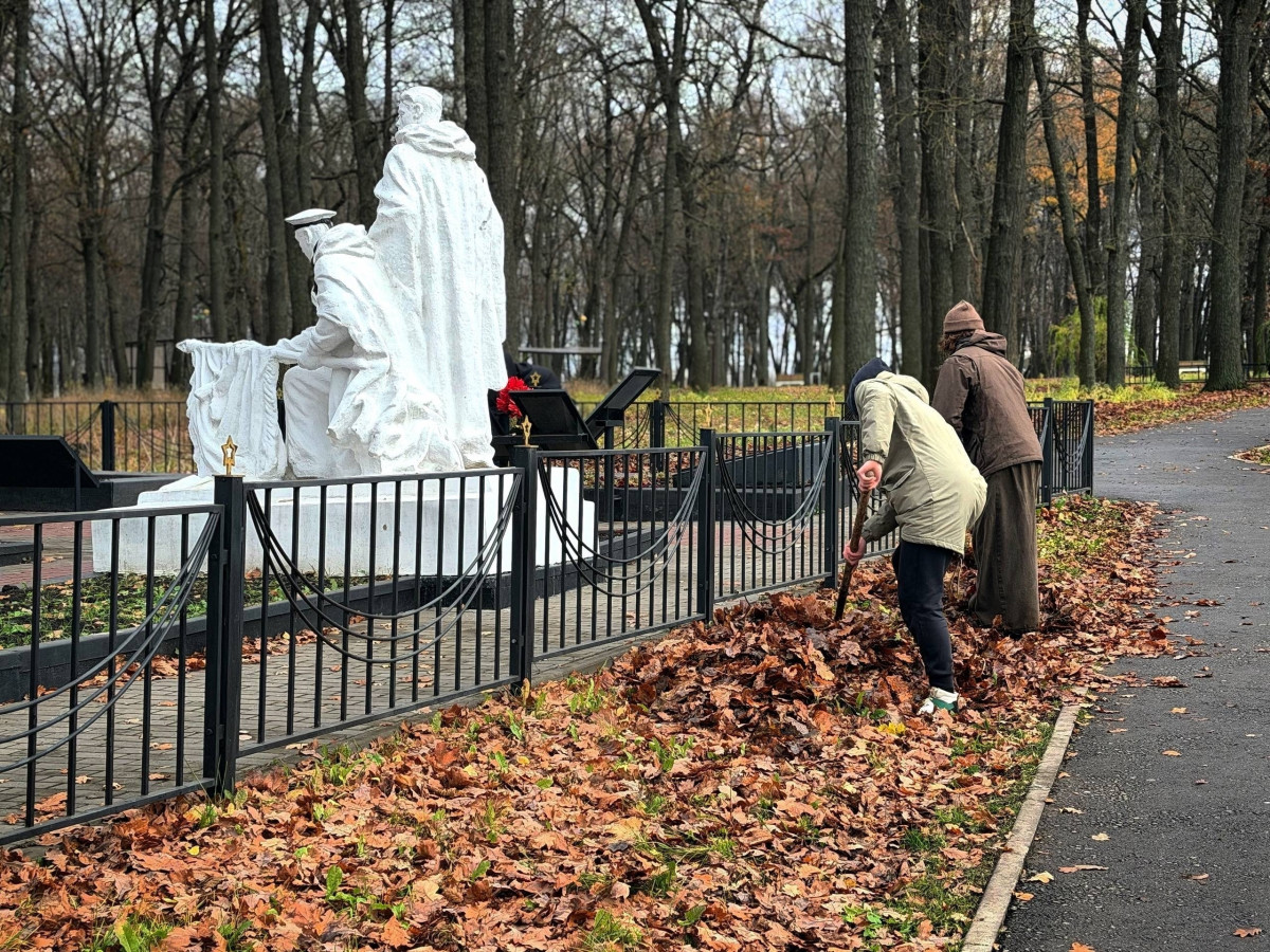 Постер к социальной практике: Волонтеры в действии