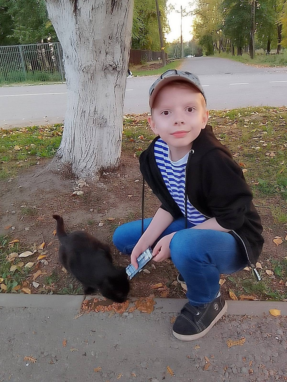 Постер к социальной практике: Помощь бездомным животным