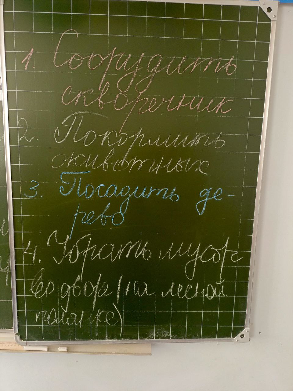 Постер к социальной практике: Создание альбома класса "Мир вокруг нас