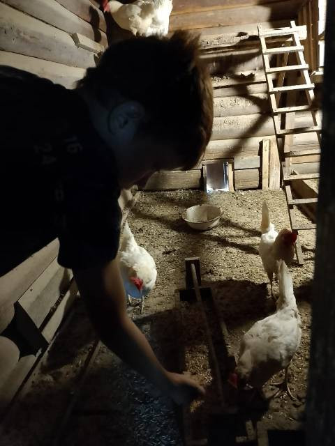 Постер к социальной практике: Любовь к природе