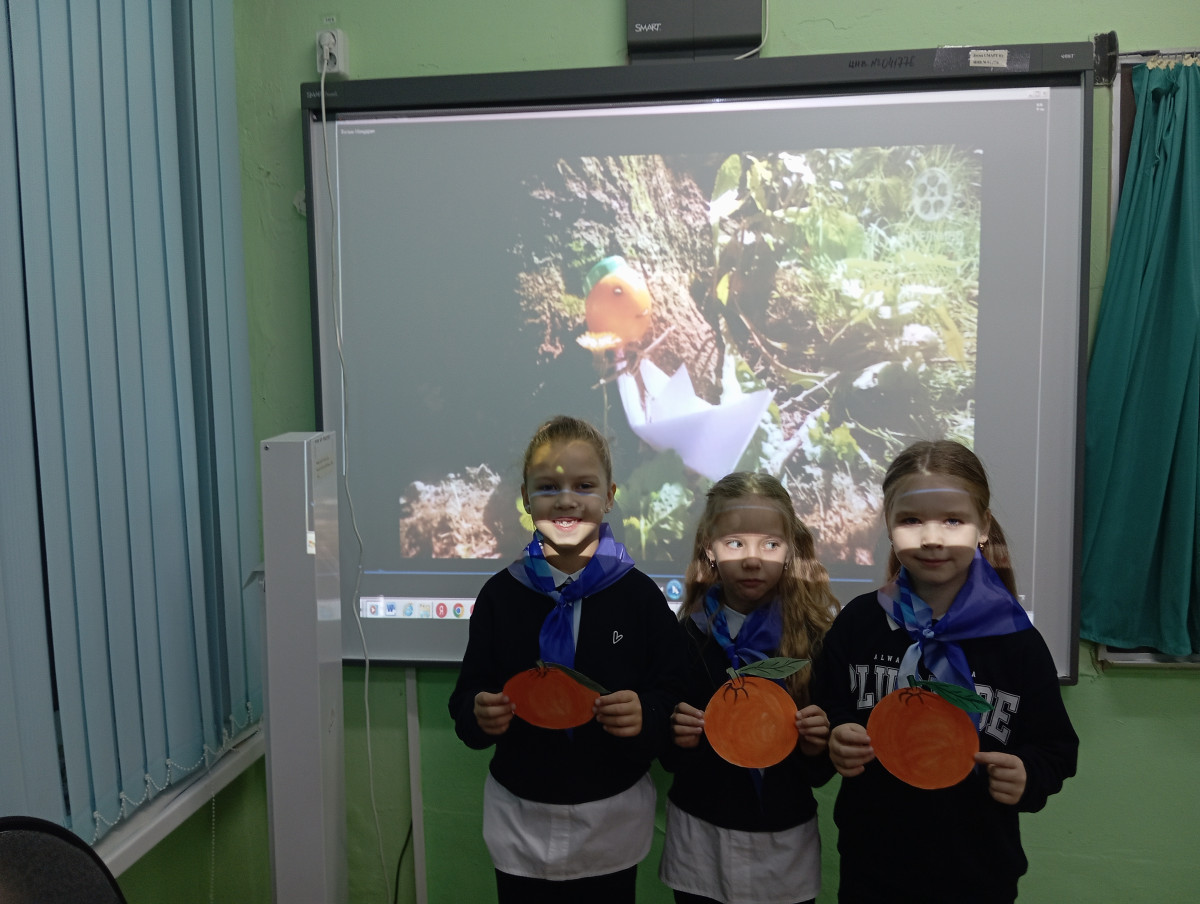 Постер к социальной практике: Мандаринки