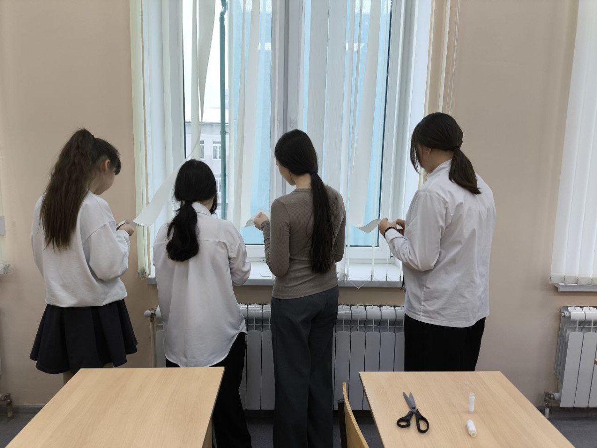 Постер к социальной практике: Благоустройство школы