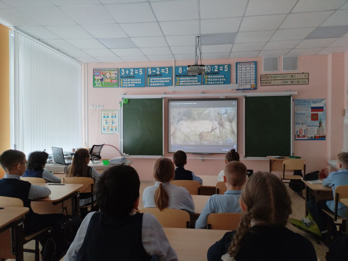 Постер к социальной практике: Не природе нужна наша защита, это нам необходимо ее покровительство: чистый воздух, чтобы дышать, кристальная вода, чтобы пить, вся природа, чтобы жить. Н.Ф. Реймерс