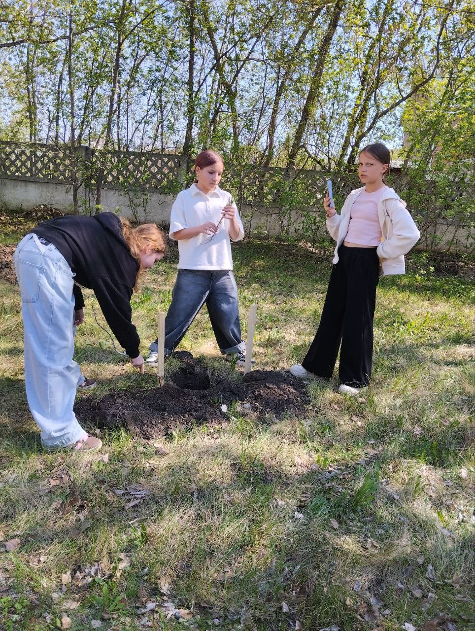 Постер к социальной практике: Сад Победы