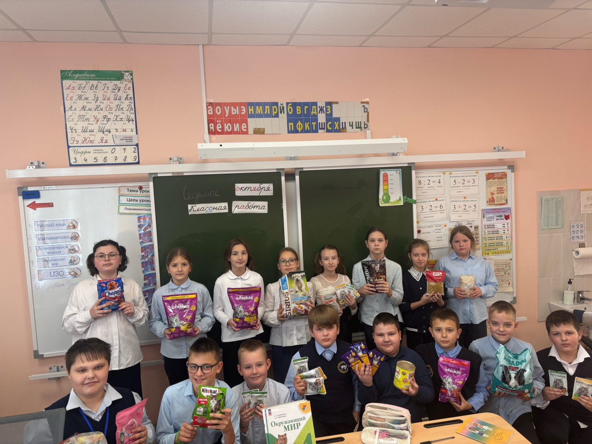 Постер к социальной практике: Братьям нашим меньшим