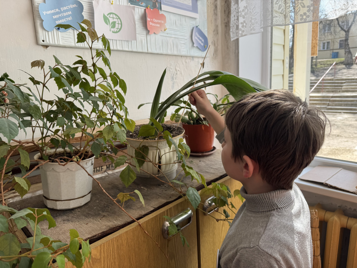 Постер к социальной практике: Заботимся о природе!