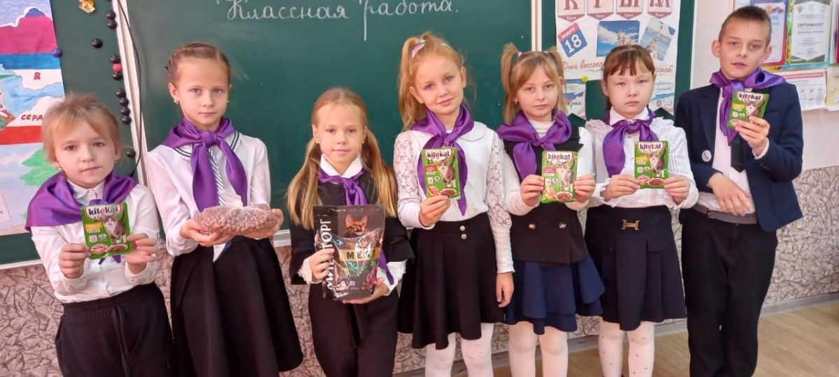 Постер к социальной практике: «Поможем братьям нашим меньшим»