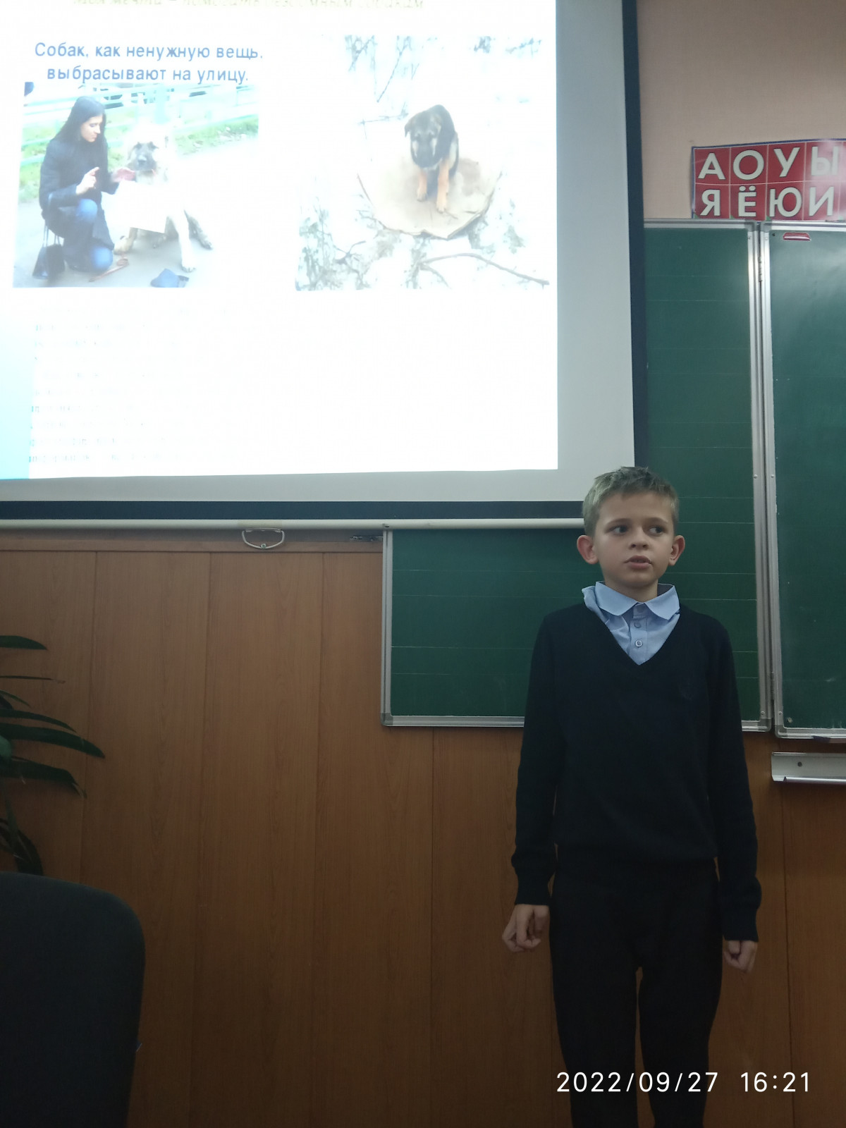 Постер к социальной практике: Моя мечта