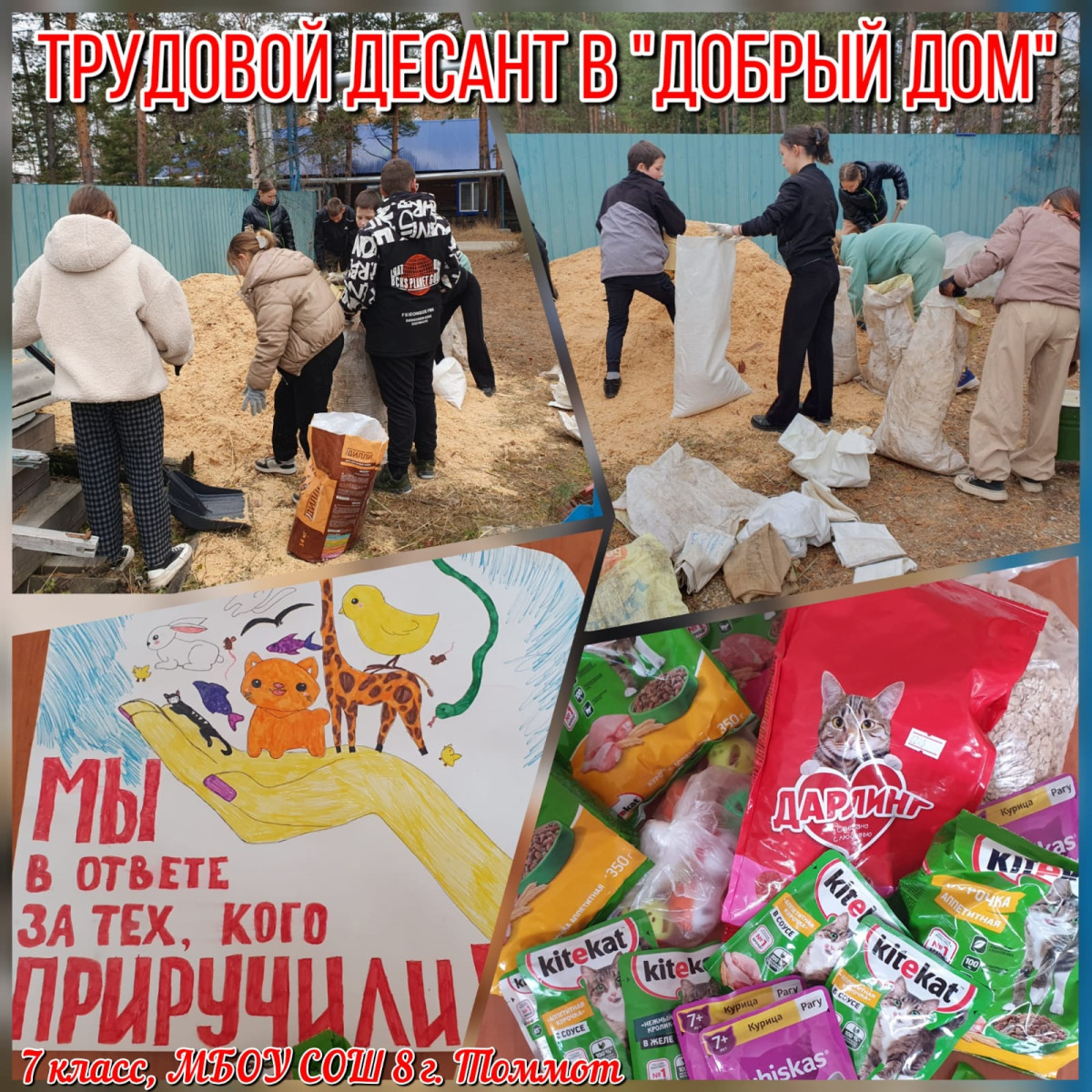 Постер к социальной практике: Десант в "Добрый дом"