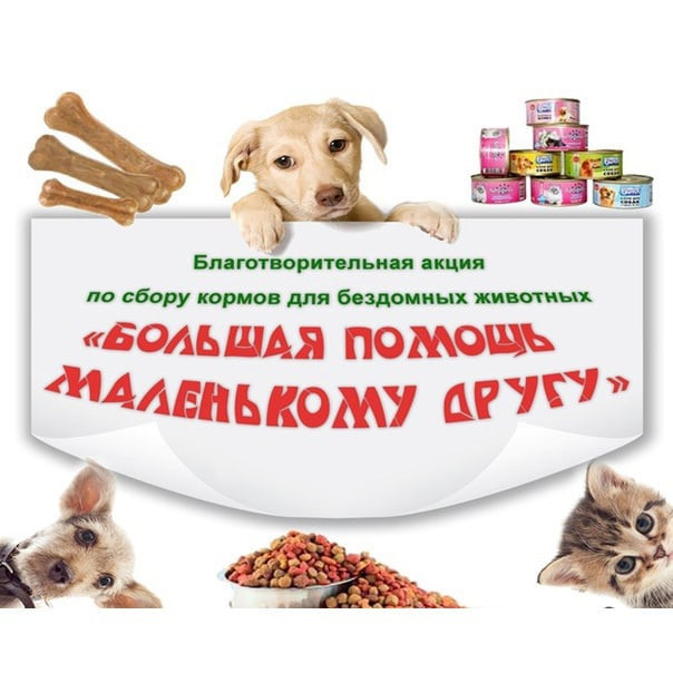 Постер к социальной практике: Совсем не трудный выбор