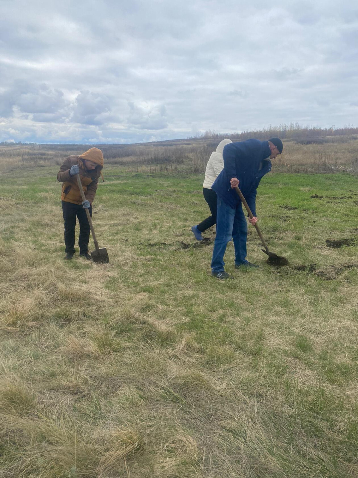 Постер к социальной практике: Поменьше бы слов, да побольше дела.