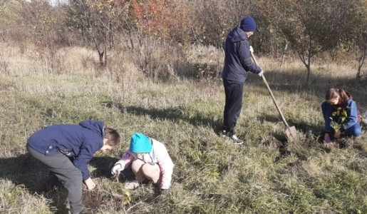 Постер к социальной практике: Созидательный труд