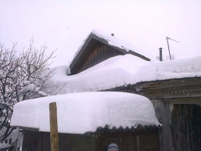 Постер к социальной практике: Забота.